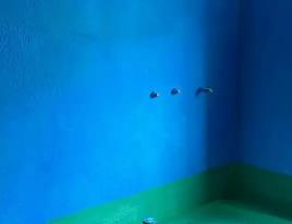 梅里斯卫生间测漏水多少钱